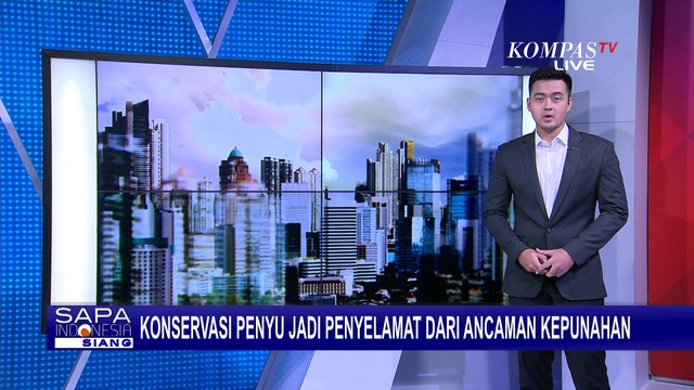 Jadi Satwa yang Terancam Punah, Begini Proses Konservasi 'Lindungi' Penyu di Cilacap Jawa Tengah