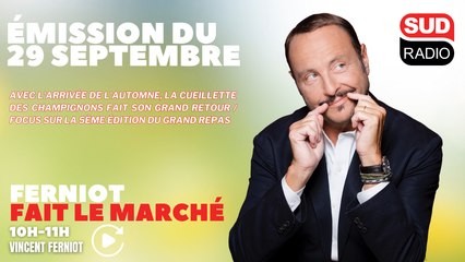 Avec l'arrivée de l'automne, la cueillette des champignons fait son grand retour