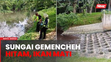 Sungai Gemencheh bertukar hitam