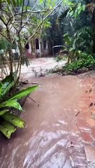 น่ากลัวมาก! น้ำป่าไหลทะลักผ่านวัดผาลาดดอยสุเทพ หลังฝนตกหนักในตัวเมืองเชียงใหม่ (มีคลิป)