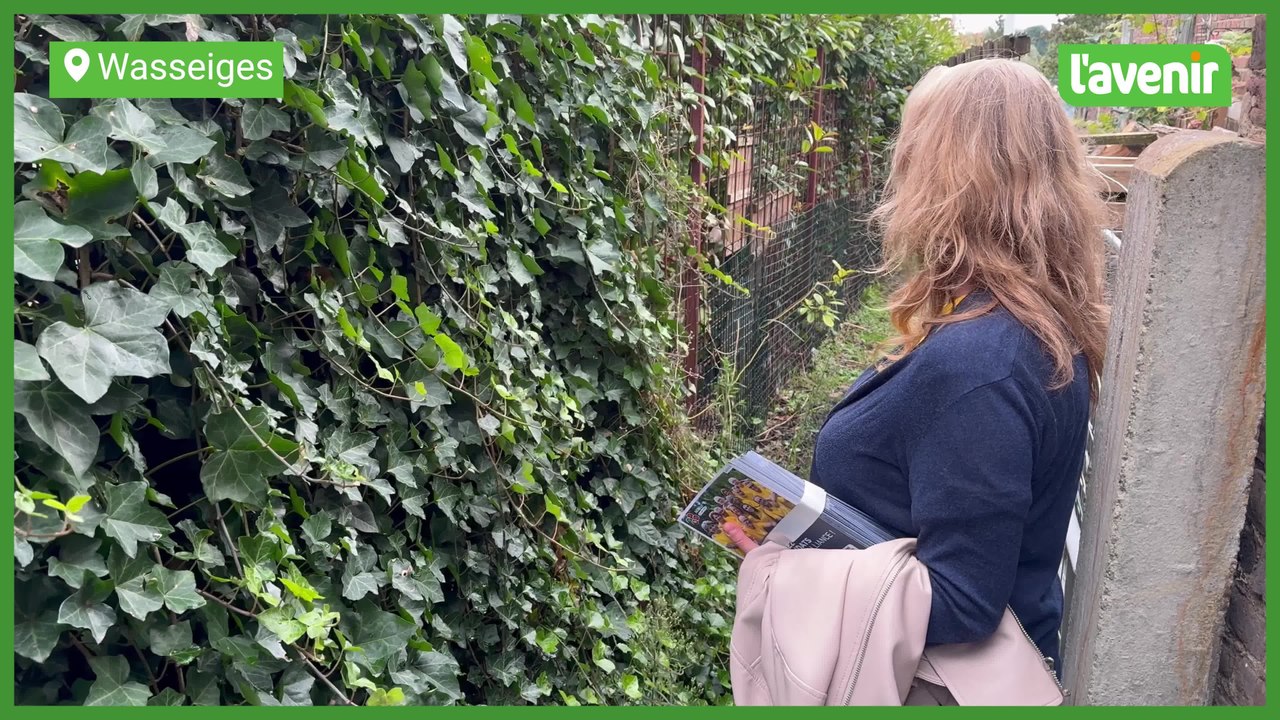 Une candidate aux élections mordue par un chien lors de sa tournée à Wasseiges