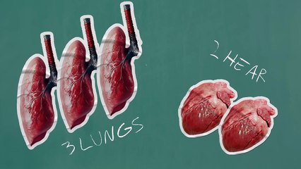 Space Marine 2: Clive Standen erklärt, was ein Space Marine ist