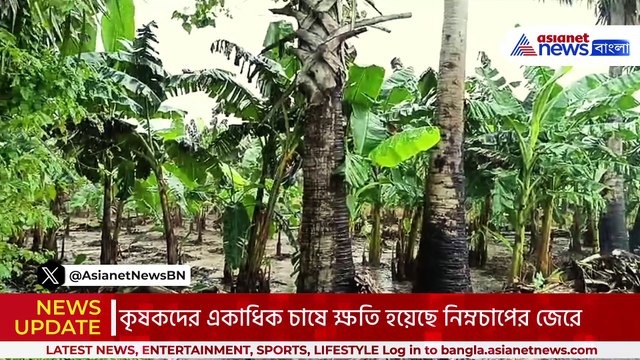 পুজোর মুখে মাথায় হাত কৃষকদের! ভারী নিম্নচাপে জলমগ্ন কৃষি জমি, আসেনি সরকারের সাহায্য
