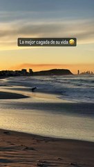 Des toilettes avec une vue imprenable !