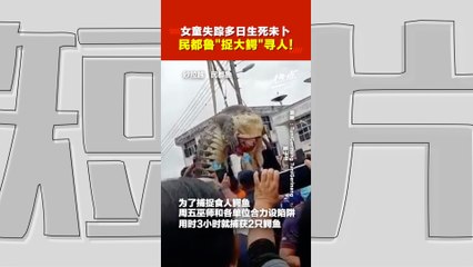“食人鳄”大得吓人?!  6岁女童洗澡遭鳄鱼拖走9天   1鳄鱼“肚中有疑似人类牙齿”