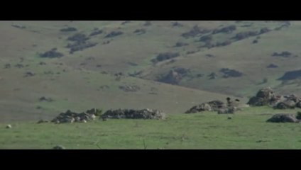 15 forcas para um assassino