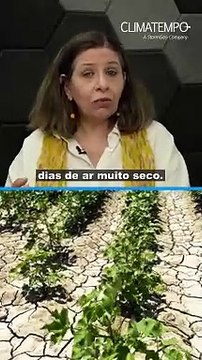 Mato Grosso do Sul está igual um deserto?