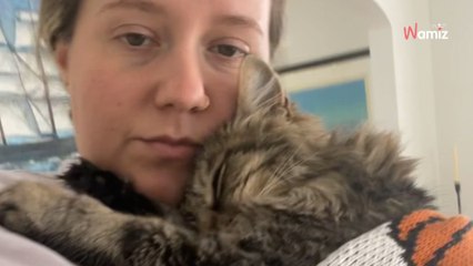 Elle adopte un chat âgé maltraité dans le passé : son arrivée à la maison ne se passe pas comme prévu (vidéo)