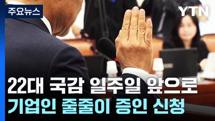 "한마디라도 하게 해달라" 했지만...올해 또 기업인 무더기 증인 / YTN