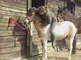 SILVER, MON PONEY !