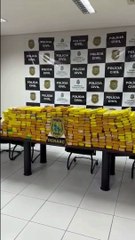 Mais de 270 kg de maconha são apreendidos em Horinzonte, no interior do Ceará