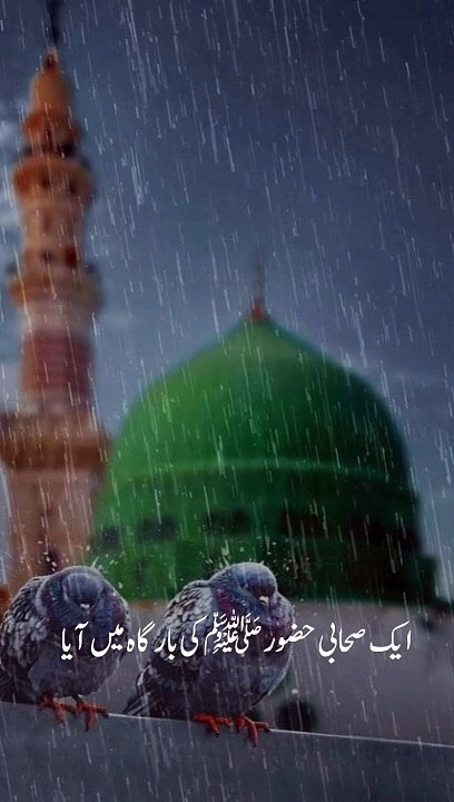 bayan