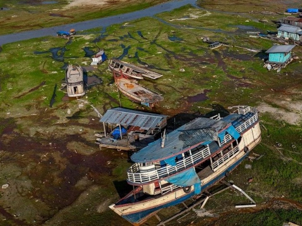 Existenzen bedroht: Wasserstand im Amazonas dramatisch gesunken