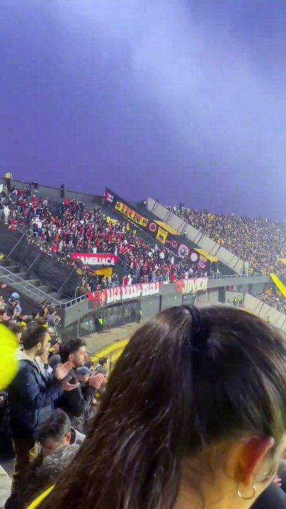 WhatsApp Video 2024-09-27 at 12.18.00.mp4