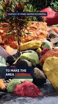 Russian resort owner faces complaints for defacing riverbed in Negros Occidental