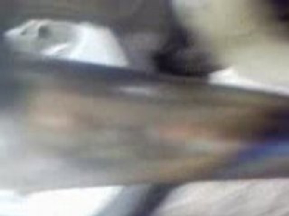 MOV00005
