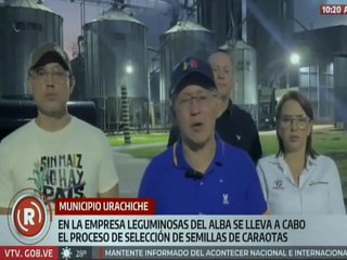 Yaracuy | Empresa leguminosas llevan a cabo el proceso de tratamiento de semillas de caraotas