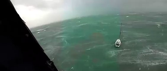 Velejador e cachorro ficam à deriva durante furacão