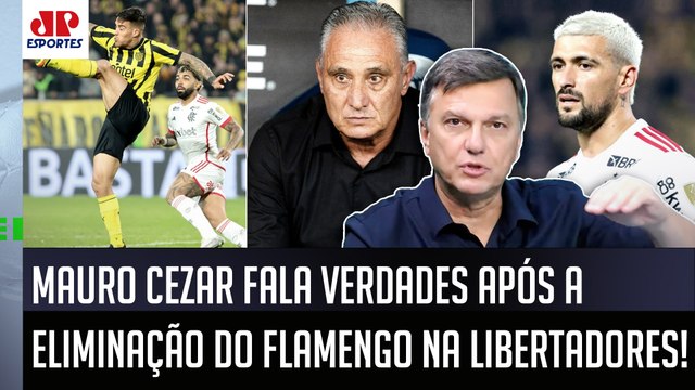 O TITE SE ACOVARDOU! E pelo que EU VI, vou ficar MUITO SURPRESO se... Mauro Cezar DISSECA Flamengo