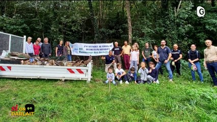 SI ON PARLAIT - 27/09/24 - Champiloop, collecte de déchets, santé par les plantes