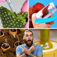 Tricks for Growing Healthy Plants Indoors !!! The dudes react to viral gardening hacks from 5-Minute-Crafts!