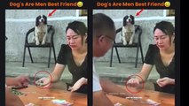 How this clever Dog help Husband to Cheat his wife