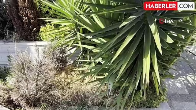 Cem Garipoğlu'nun mezarının açılacağı tarih belli oldu