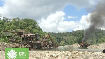 Los problemas ambientales por falta de infraestructura que Guapi espera tratar en la COP16