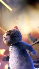 Billu_Ka_Teddy_Mar_Gya_____#shorts_#cat_#cats