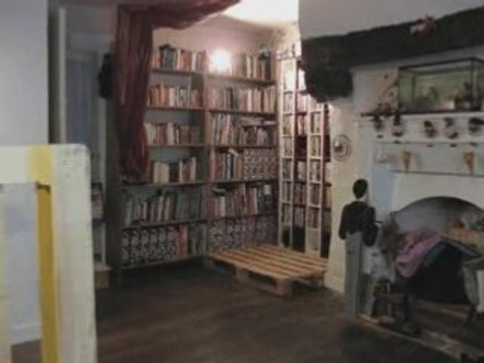 Animsalon