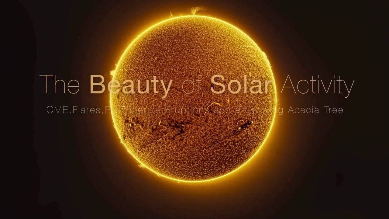 Mesmerizing Solar Activity Captured in Jaw-Dropping Sun Photo | Solar ...