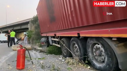 Kontrolden Çıkan Tır Ağaçlık Alana Daldı: Sürücü Yaralandı