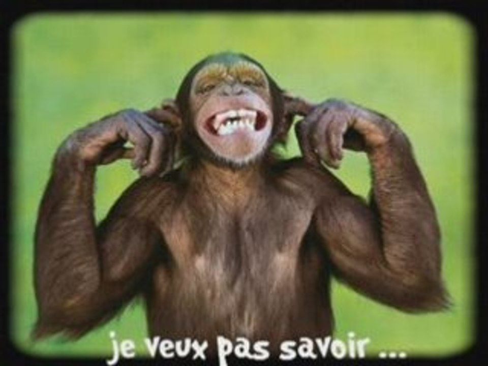 Physique Académie