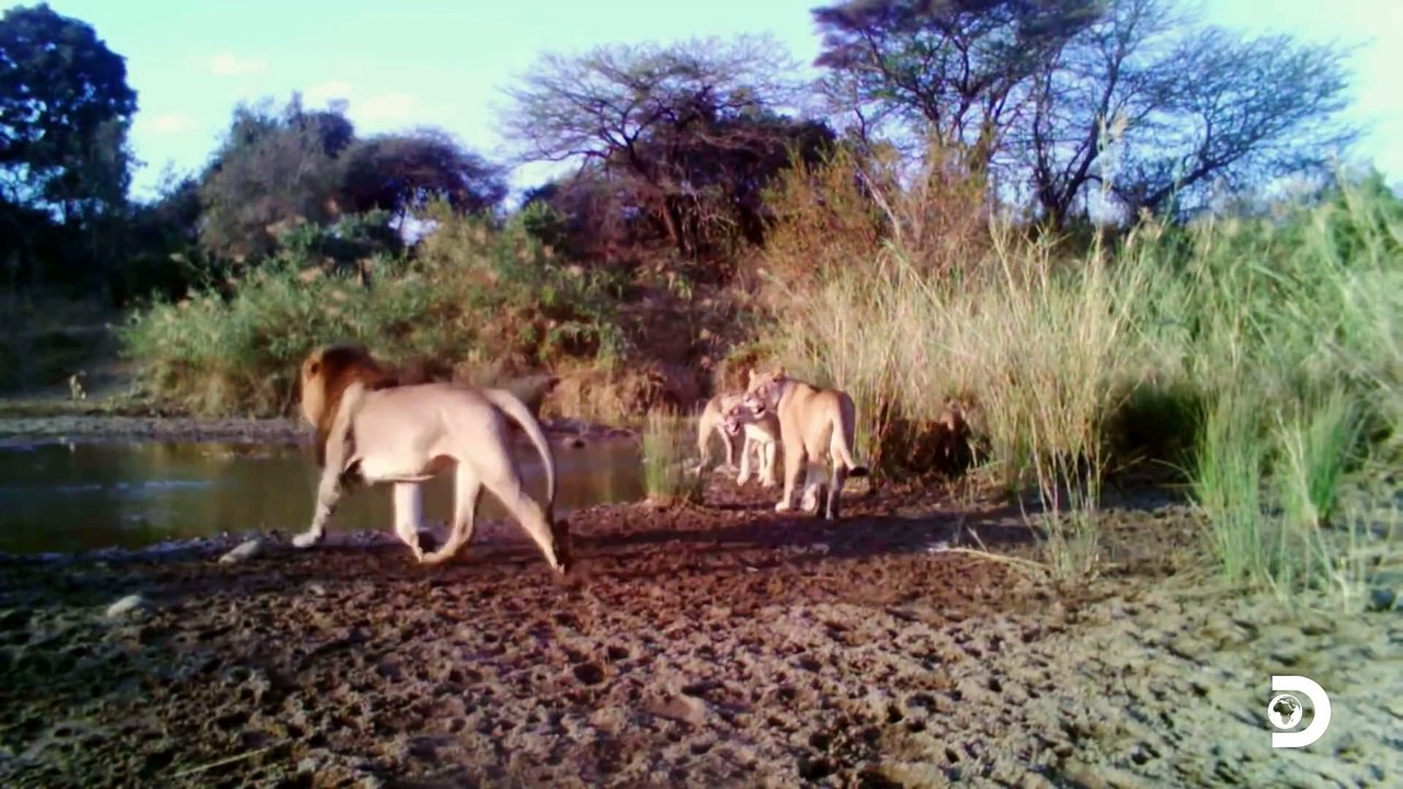 Naked and Afraid Nude Survival All-Women Team Goes Hunting in South Africa - video Dailymotion