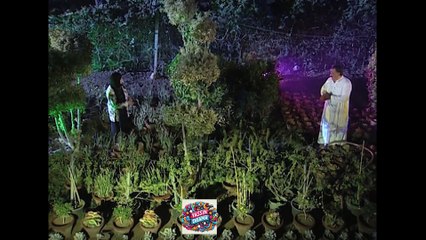 رياض الخولي وفيفي عبده l  حلقة 3