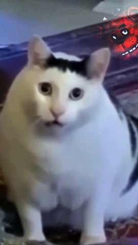 huh cat sings five nights at freddy's them song