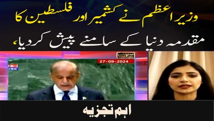 Wazeer e Azam Ne Kashmir Aur Palestine Ka Muqadma Duniya Ke Samnay Paish Kar Diya, Ahem Tajzia