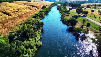 Welcome to Music Without Borders!