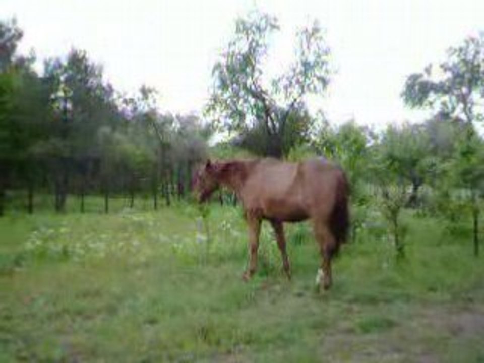 Le vert 024
