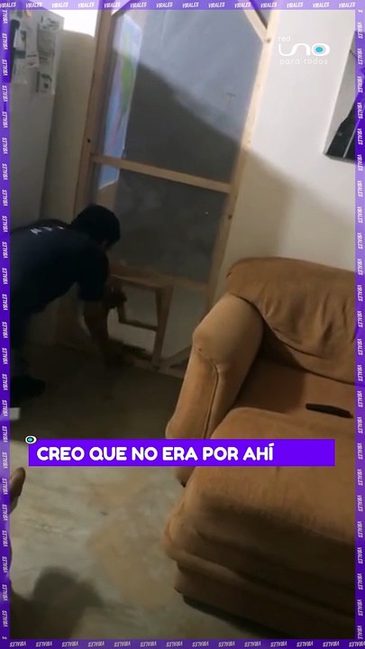 Perrito se confunde de puerta