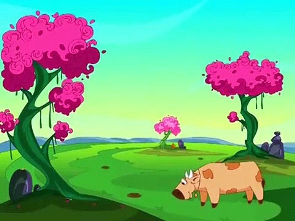 TURKEY and BULL