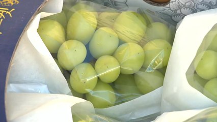 가을에 취하고 포도에 빠지고...안산 대부포도축제 개막 / YTN