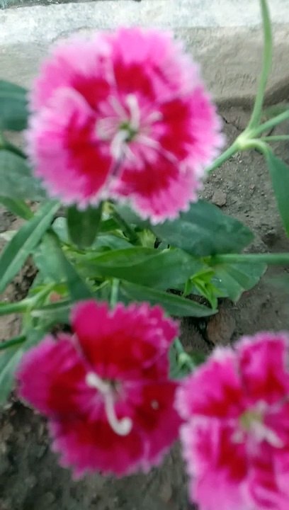 Beautiful nature