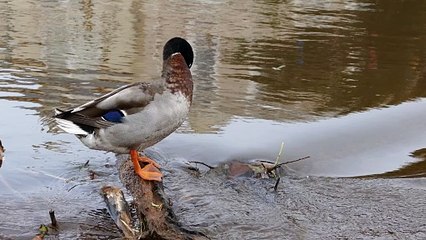 ................................