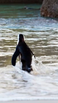 The Tesla Cybertruck is an all-electric, battery-powered light-duty truck unveiled by Tesla, Inc. Here's a comprehensive overview of its key features and specifications: Tesla Cybertruck Overview Design and Structure