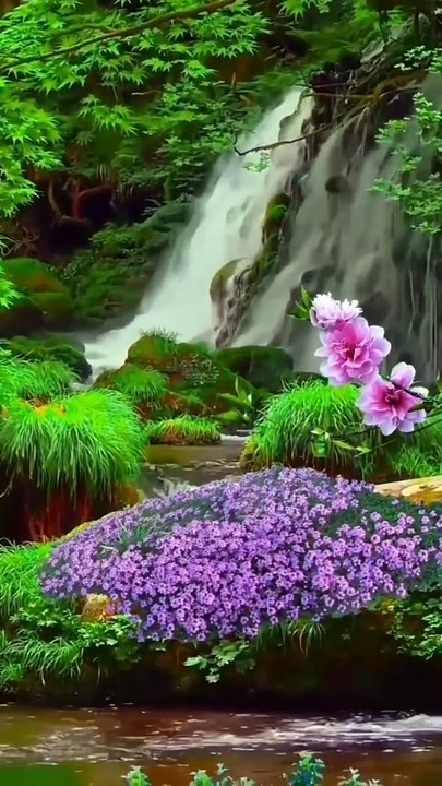 Beautiful Nature and Entertainment