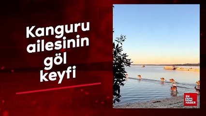 Kanguru ailesinin göl keyfi