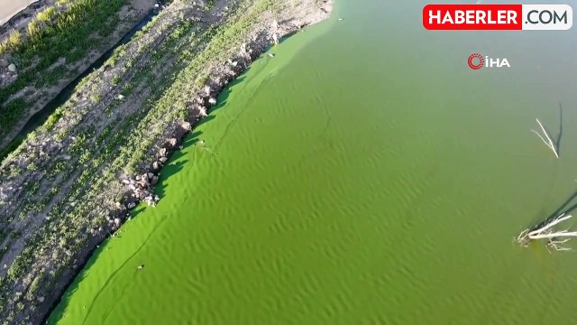 Kars Baraj Gölü'nde Alg Patlaması: Su Yeşile Dönüştü