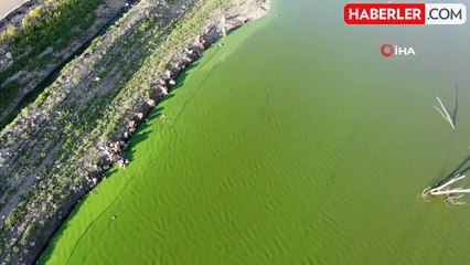 Kars Baraj Gölü'nde Alg Patlaması: Su Yeşile Dönüştü