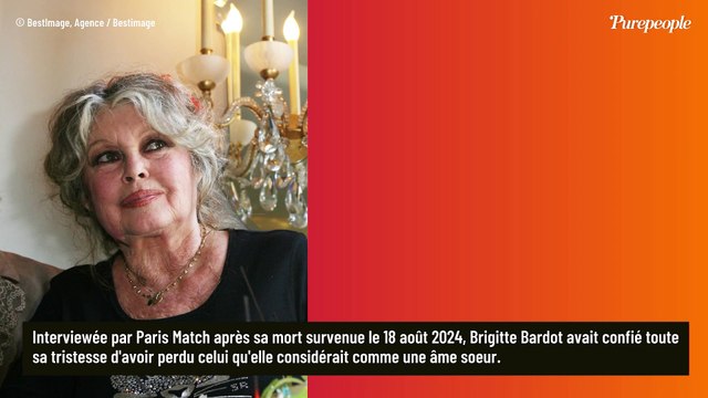 Alain est beau certes mais... : Ces mots directs de Brigitte Bardot sur Alain Delon lors de leur première rencontre